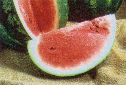 Garden Seasons: New Crop Varieties for 1985 Image